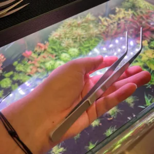 Akvaryum Bitki Maşası Eğik Uç (Cımbız)