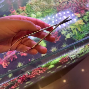 Akvaryum Özel Bitki Makası (Yaylı Makas)