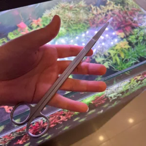 Akvaryum makası düz