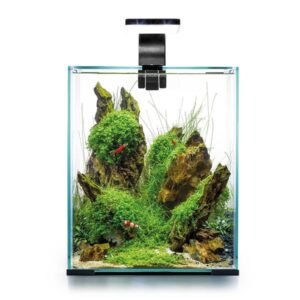 Aquael Shrimp Set Day and Night 30 Karides Akvaryumu