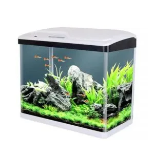 Tam Set Akvaryum