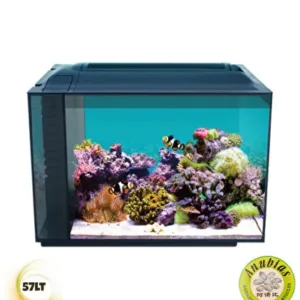 Anubias Evo-V8 55 Nano Marine Akvaryum Siyah 55,5 x 29,5 x 35 Cm