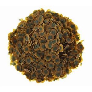 Tetra Pro Algae 500 Gr - Kovadan Bölme